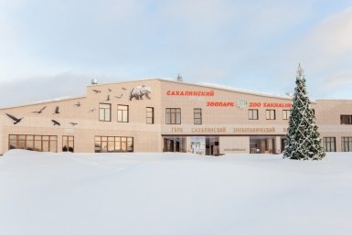 "Каждый день по-своему уникален": как устроено "закулисье" Сахалинского зоопарка
