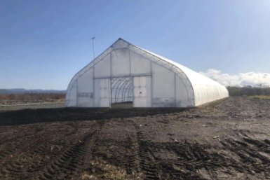 Теплица пресс-служба агентства лесного и охотничьего хозяйства Сахалинской области